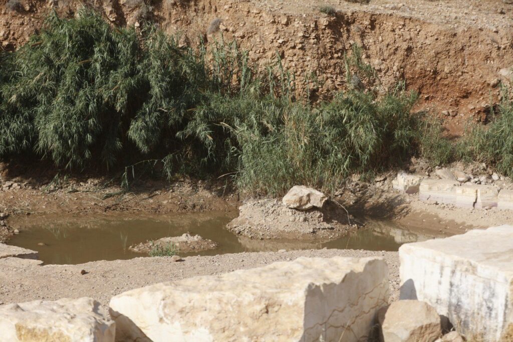 حصاد الأسبوع: أبرز الصور من العالم الإسلامي 6 IMG 20250509 212621 494