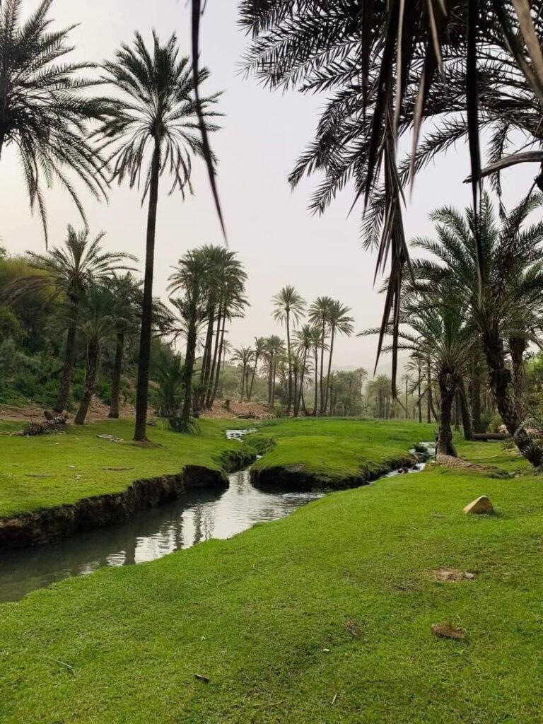 حصاد الأسبوع: أبرز الصور من العالم الإسلامي 38 IMG 20250509 213015 756