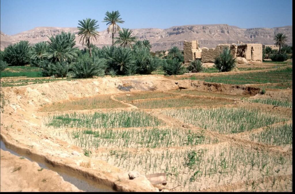 حصاد الأسبوع: أبرز الصور من العالم الإسلامي 41 IMG 20250509 213125 329