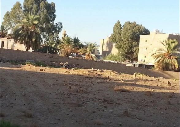 حصاد الأسبوع: أبرز الصور من العالم الإسلامي 26 IMG 20250516 224644 100 1