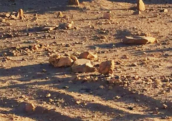 حصاد الأسبوع: أبرز الصور من العالم الإسلامي 25 IMG 20250516 224644 378