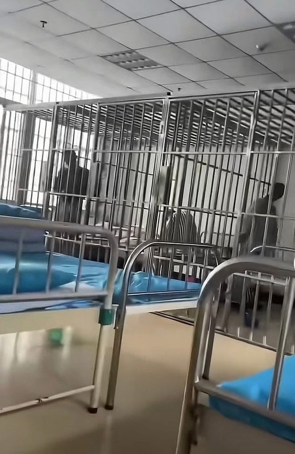 تقرير وصل الأسبوعي للعالم الإسلامي: أبرز الأحداث الأسبوع الأول من ذي الحجة 29 photo 2 2025 05 31 15 08 29
