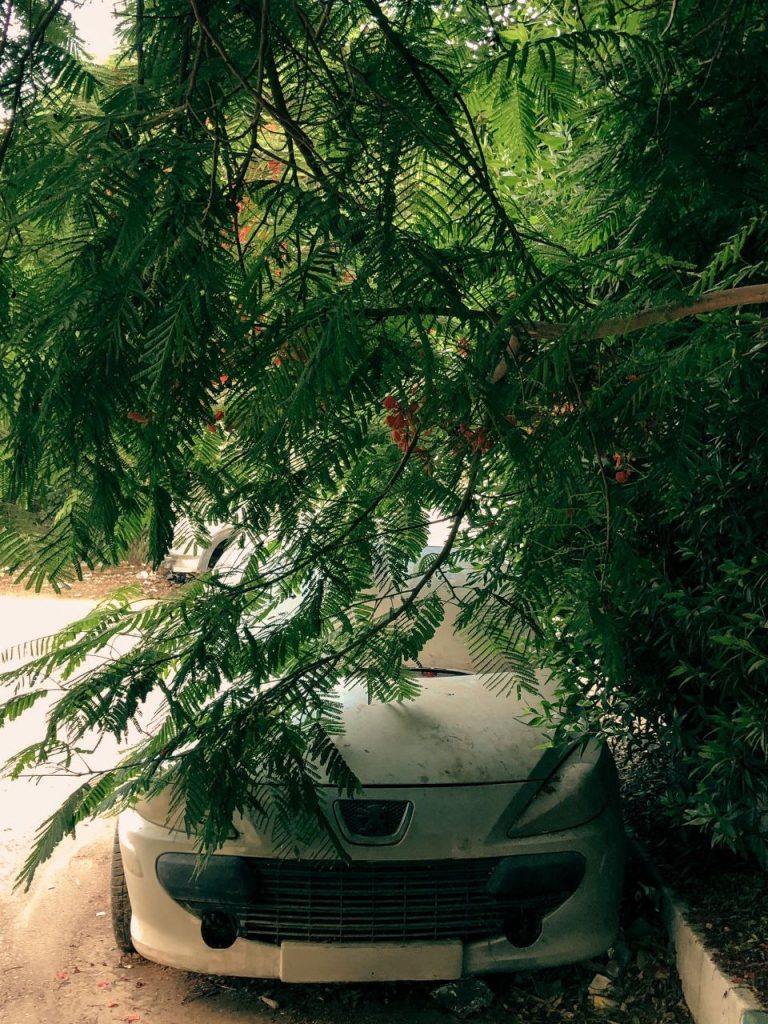 حصاد الأسبوع: أبرز الصور من العالم الإسلامي 83 photo 2025 06 07 08 45 12