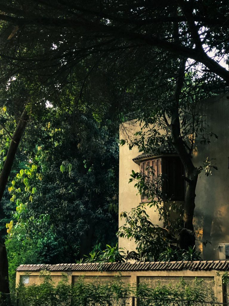 حصاد الأسبوع: أبرز الصور من العالم الإسلامي 82 photo 2025 06 07 08 45 15