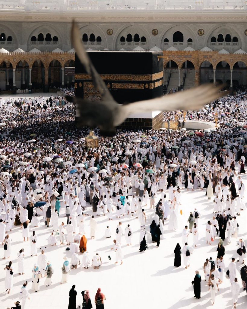 حصاد الأسبوع: أبرز الصور من العالم الإسلامي 25 photo 2025 06 07 08 47 37