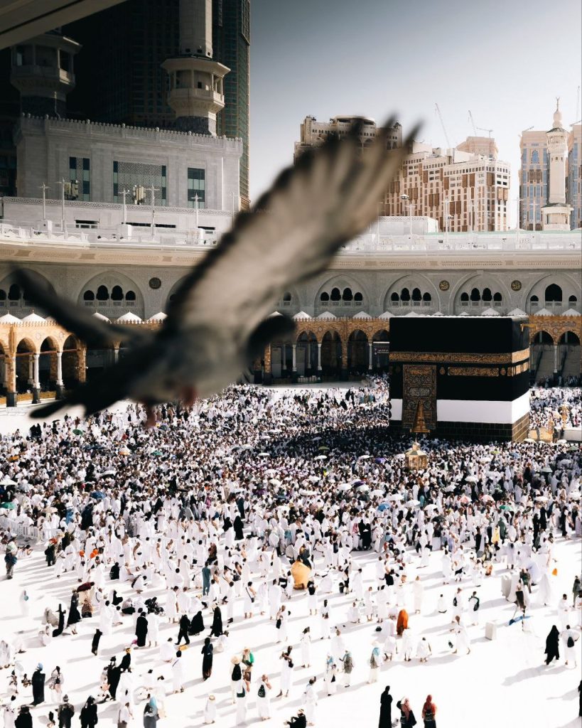 حصاد الأسبوع: أبرز الصور من العالم الإسلامي 24 photo 2025 06 07 08 47 42