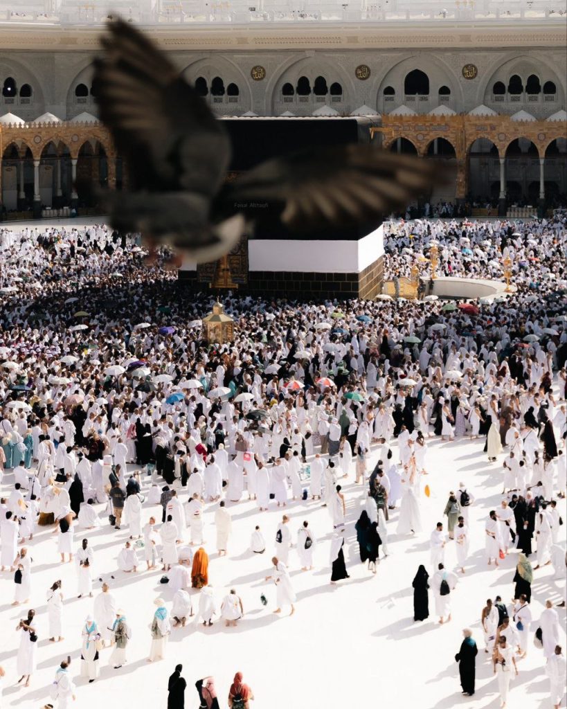 حصاد الأسبوع: أبرز الصور من العالم الإسلامي 23 photo 2025 06 07 08 47 45