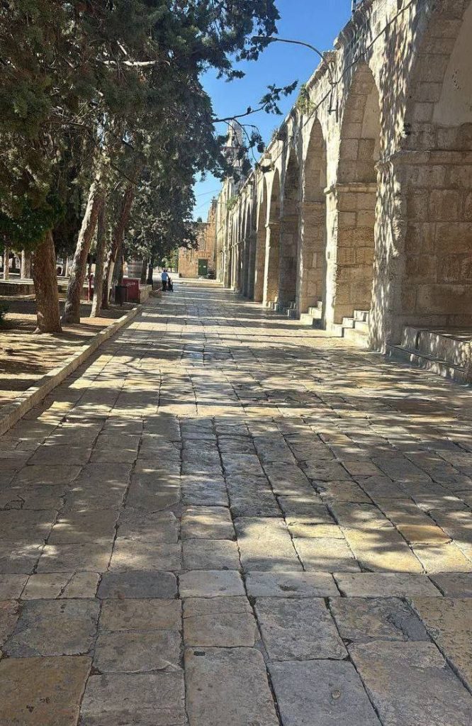حصاد الأسبوع: أبرز الصور من العالم الإسلامي 9 photo 2025 06 14 01 02 32
