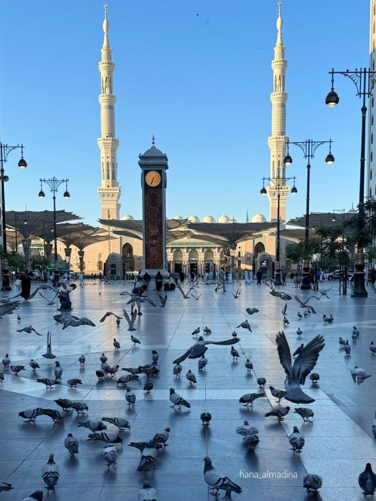 حصاد الأسبوع: أبرز الصور من العالم الإسلامي 27 photo 2025 06 14 01 11 38