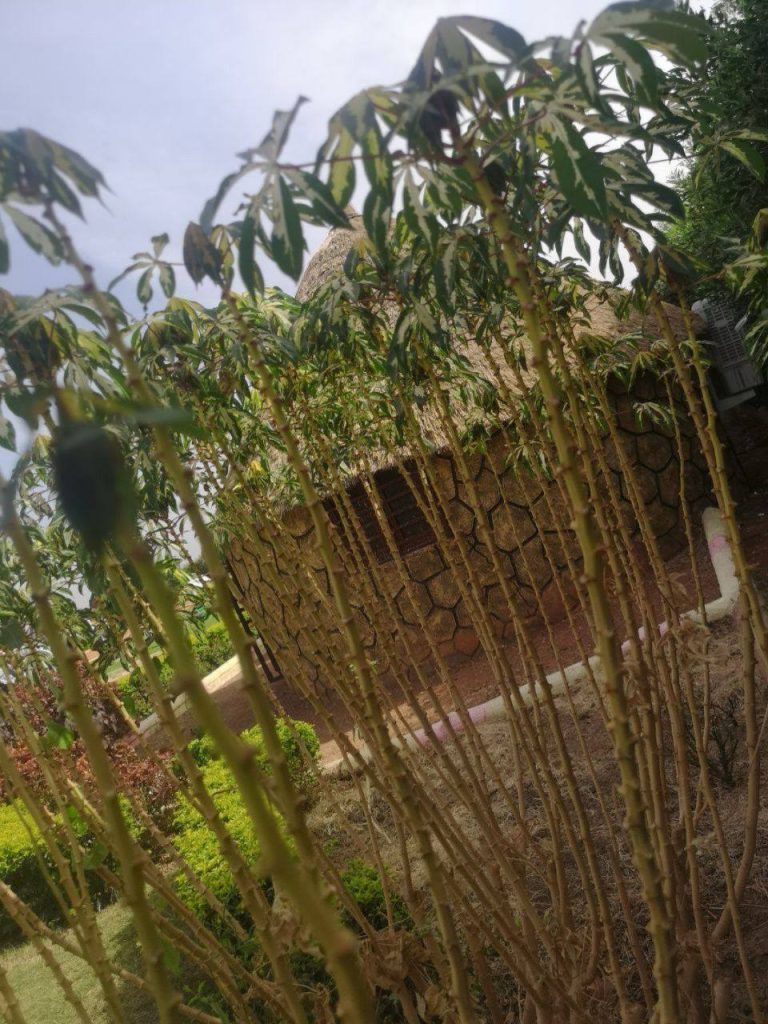 حصاد الأسبوع: أبرز الصور من العالم الإسلامي 31 photo 2025 06 20 23 23 25