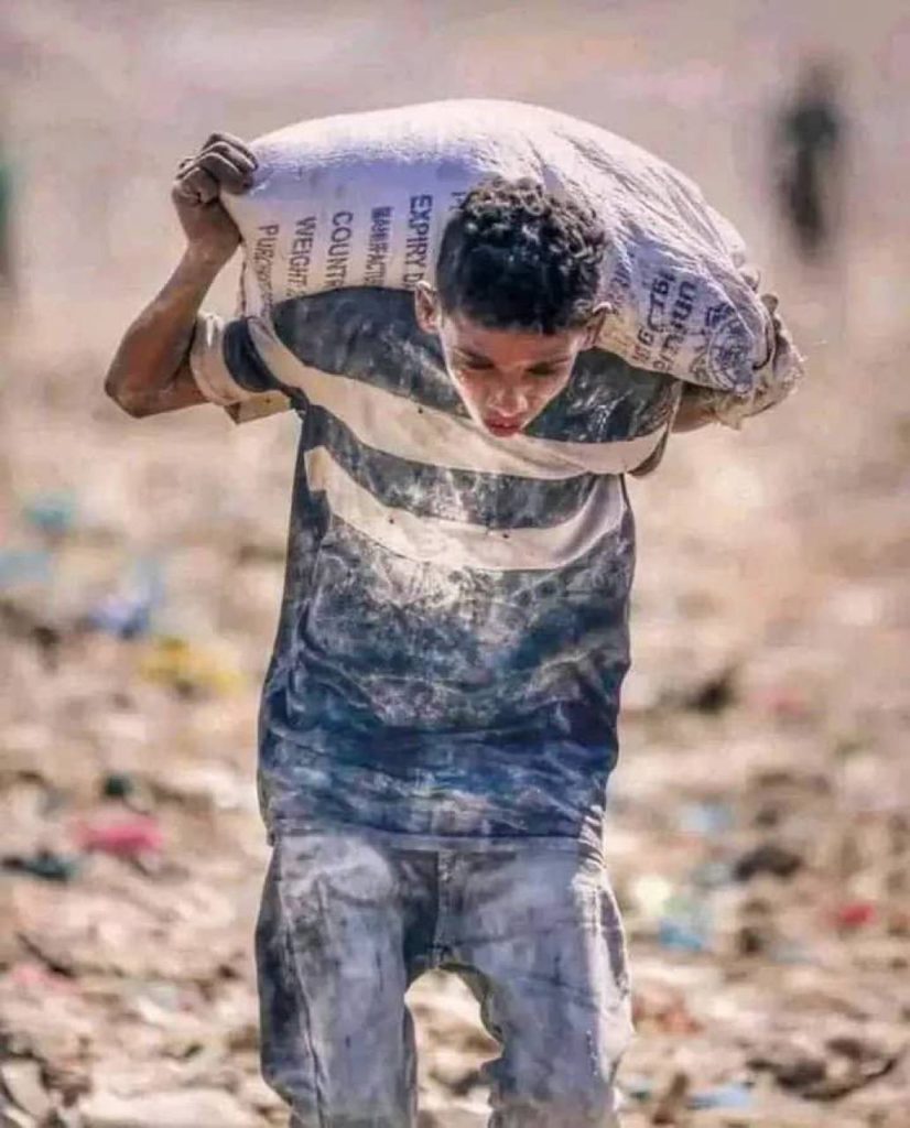 حصاد الأسبوع: أبرز الصور من العالم الإسلامي 4 IMG 20250704 230158 456
