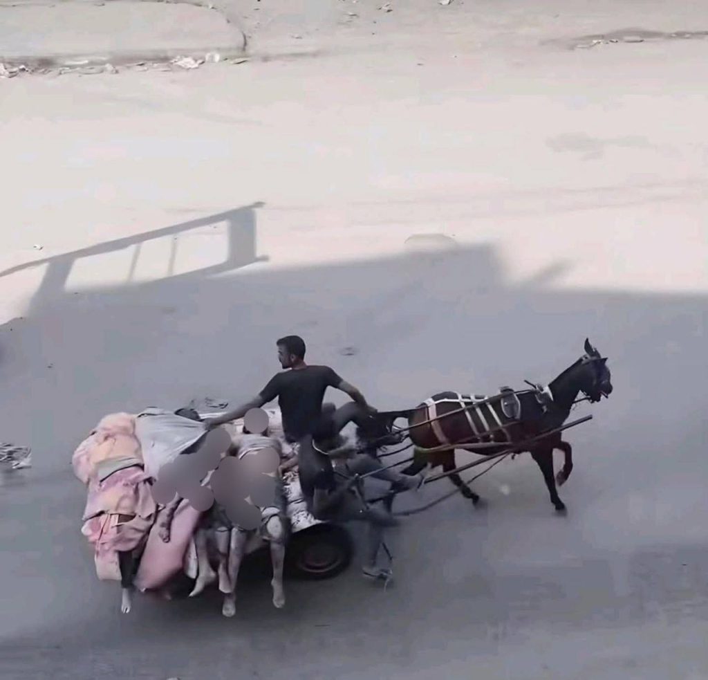 حصاد الأسبوع: أبرز الصور من العالم الإسلامي 2 IMG 20250711 223610 627