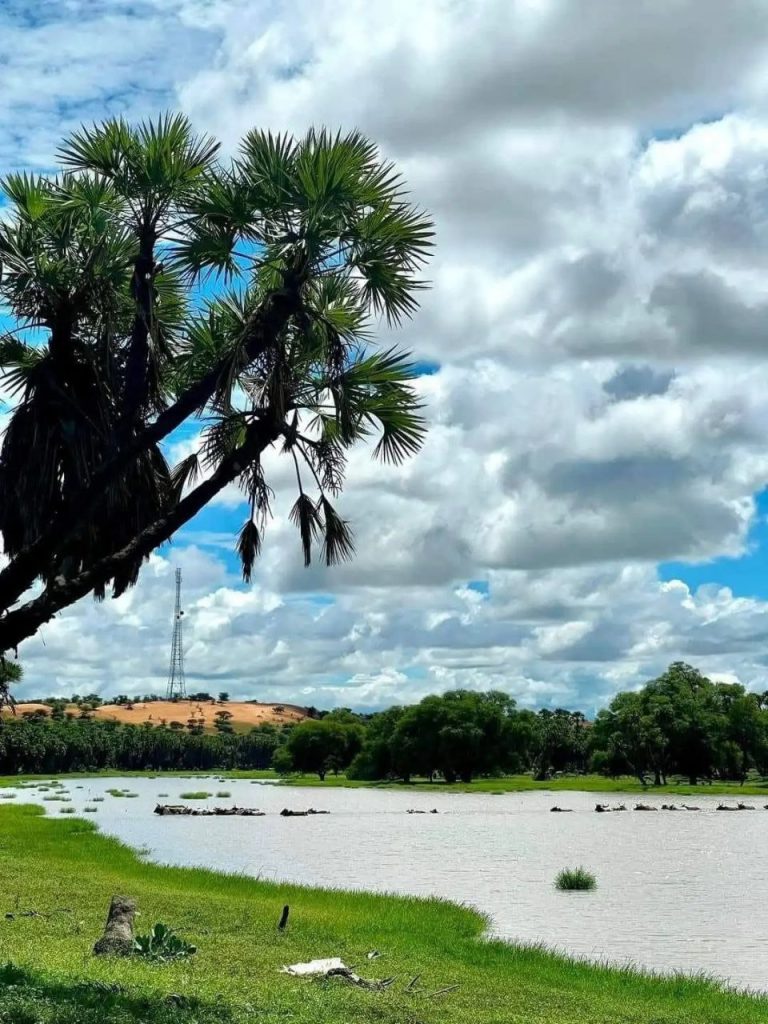 حصاد الأسبوع: أبرز الصور من العالم الإسلامي 55 IMG 20250711 224056 125