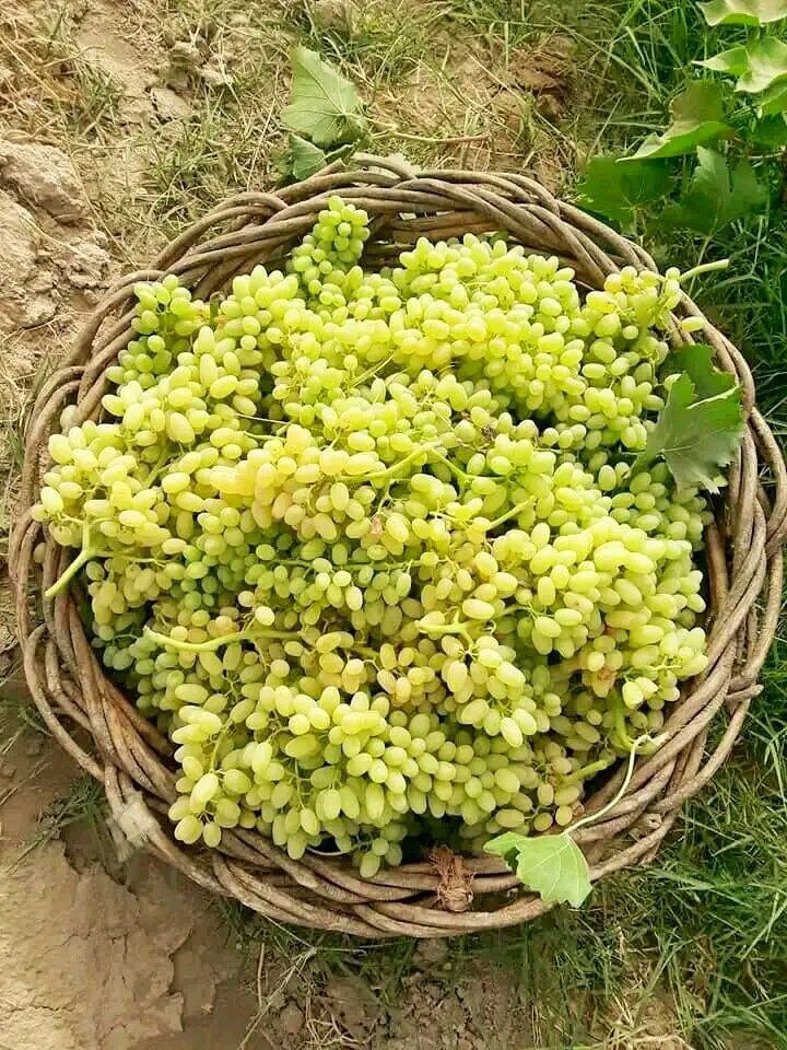 حصاد الأسبوع: أبرز الصور من العالم الإسلامي 51 IMG 20250711 224227 576 1