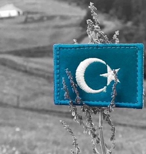 حملة "أنقذوا الأويغور" تدين مشاركة مدير مطبعة جامعة برينستون في جولة دعائية صينية في تركستان الشرقية المحتلة 18 حملة “أنقذوا الأويغور” تدين مشاركة مدير مطبعة جامعة برينستون في جولة دعائية صينية في تركستان الشرقية المحتلة