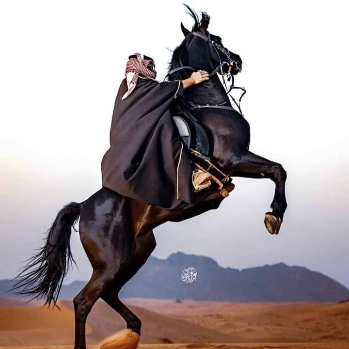 الحياة لمن يجرؤ! 47 الحياة لمن يجرؤ!