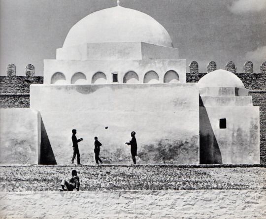 حصاد الأسبوع: أبرز الصور من العالم الإسلامي 37 ٢٠٢٥٠٧٢٦ ٠٢٣٨٥٠