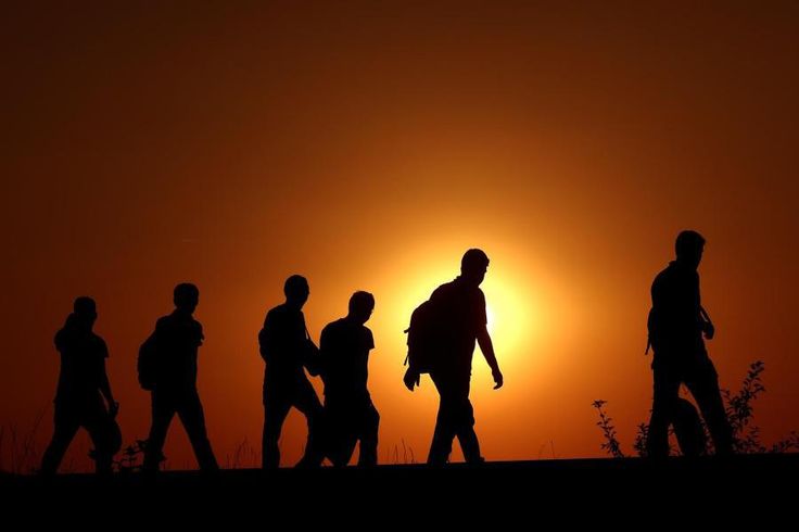 نزيف الهجرة من اليمن… 13 نزيف الهجرة من اليمن…