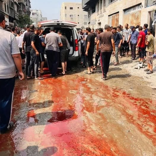 غزة… الاحتلال الإسرائيلي يتفوق في إجرامه على النازية والفاشية 37 غزة… الاحتلال الإسرائيلي يتفوق في إجرامه على النازية والفاشية