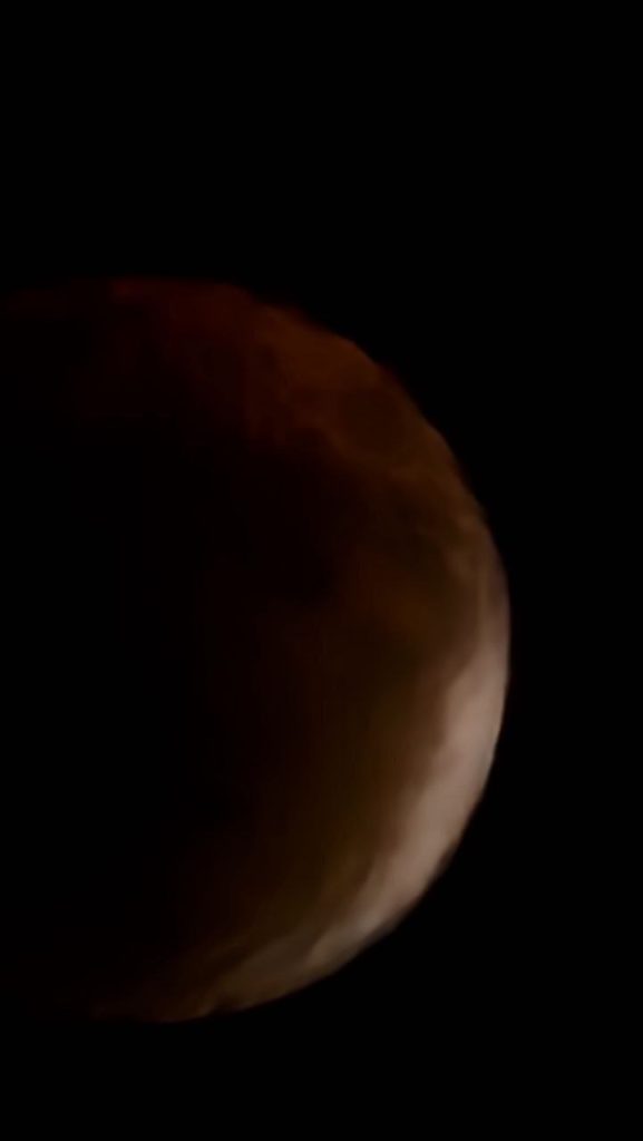 حصاد الأسبوع: أبرز الصور من العالم الإسلامي 62 1000020781