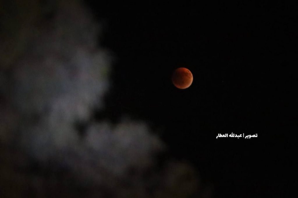 حصاد الأسبوع: أبرز الصور من العالم الإسلامي 72 1000020790