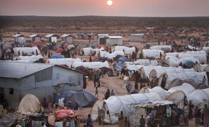 ناجون من حصار الفاشر في السودان يروون طرق الهروب المرعبة 11 ناجون من حصار الفاشر في السودان يروون طرق الهروب المرعبة