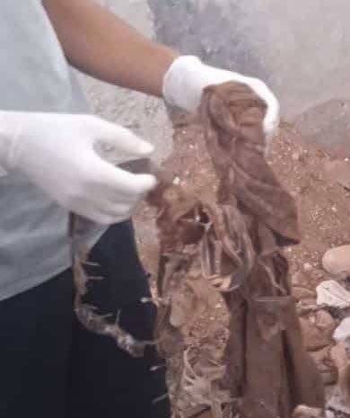 تقرير وصل الأسبوعي للعالم الإسلامي: أبرز أحداث الأسبوع الثاني من ربيع الأول 33 photo 2025 09 05 13 42 21