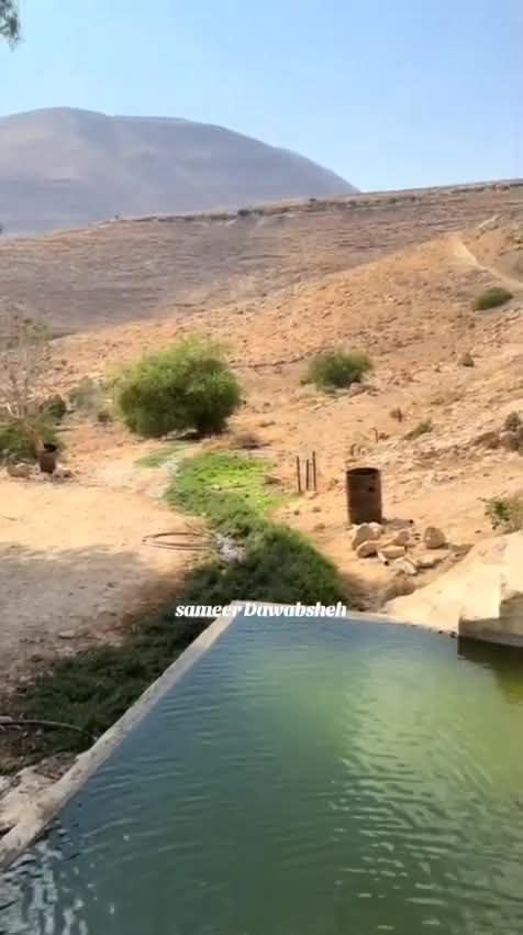 تقرير وصل الأسبوعي للعالم الإسلامي: أبرز أحداث الأسبوع الثالث من ربيع الأول 15 photo 2025 09 12 21 03 53