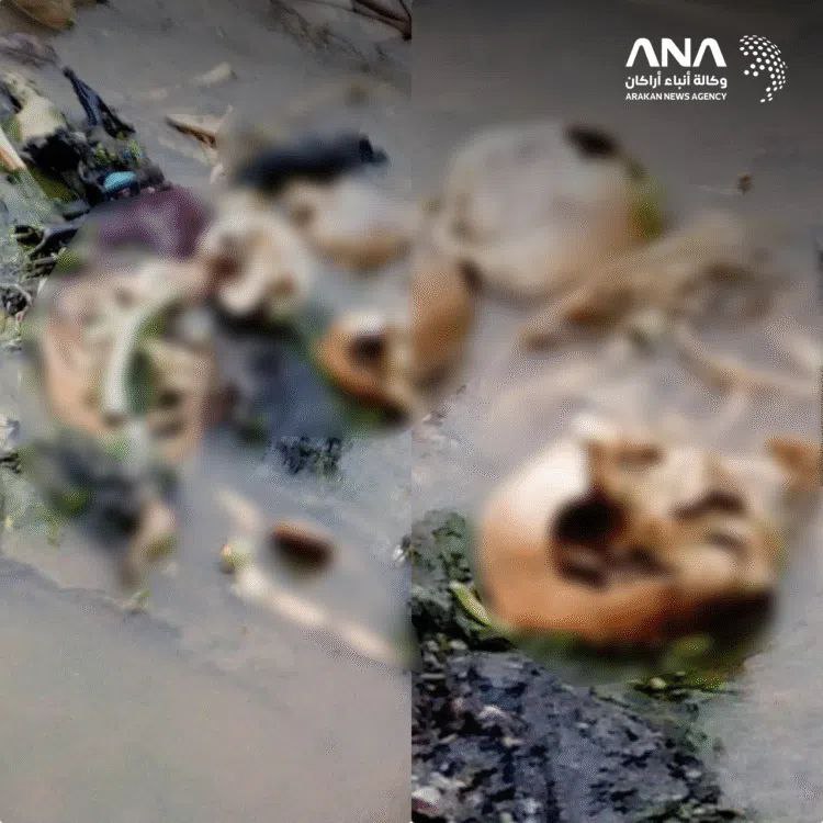 تقرير وصل الأسبوعي للعالم الإسلامي: أبرز أحداث الأسبوع الأخير من ربيع الأول 43 photo 2025 09 19 21 07 02