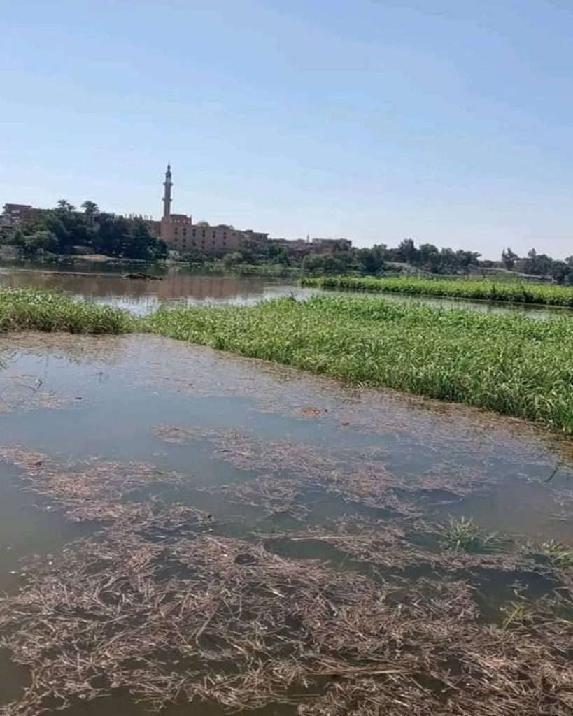 حصاد الأسبوع: أبرز الصور من العالم الإسلامي 31 1000022102