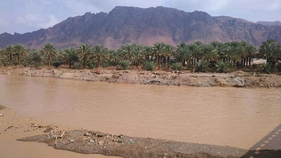 حصاد الأسبوع: أبرز الصور من العالم الإسلامي 26 1000022141