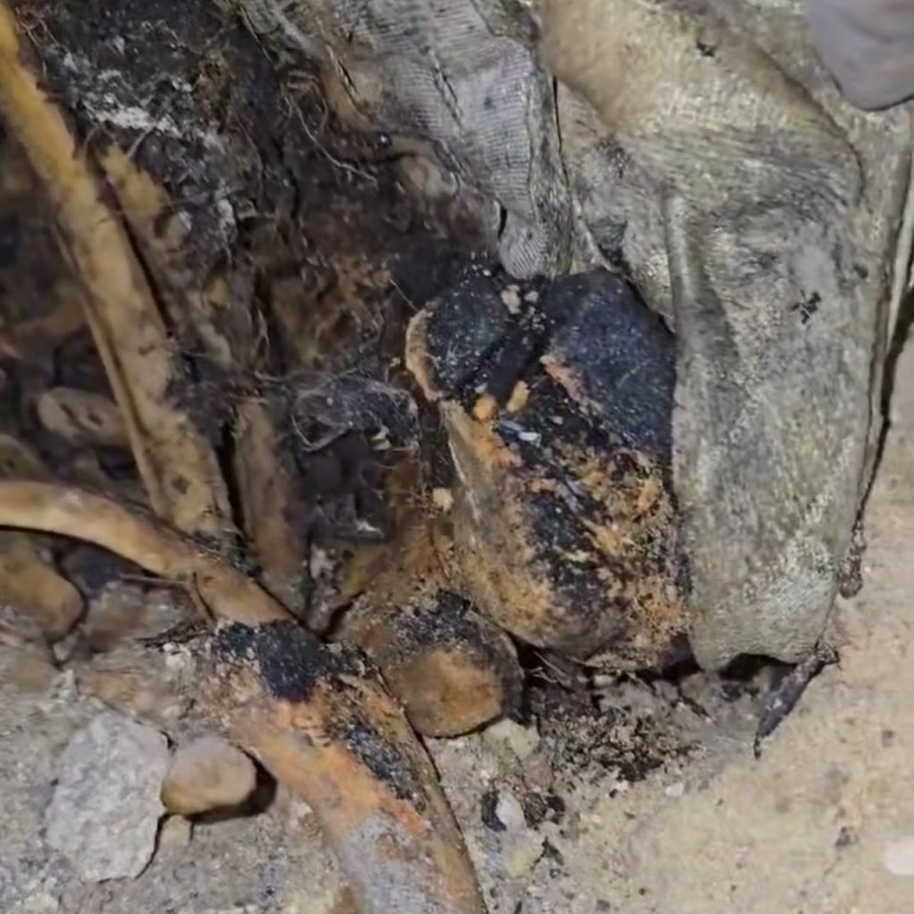 تقرير وصل الأسبوعي للعالم الإسلامي: أبرز أحداث الأسبوع الأول من جمادى الأولى 34 1000023985