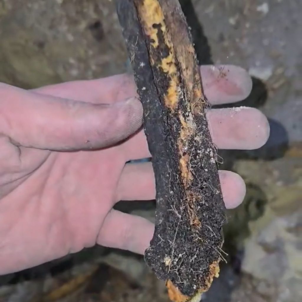 تقرير وصل الأسبوعي للعالم الإسلامي: أبرز أحداث الأسبوع الأول من جمادى الأولى 35 1000023986