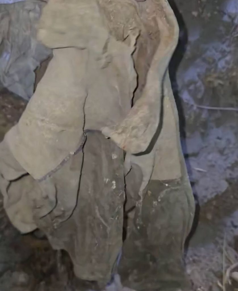 تقرير وصل الأسبوعي للعالم الإسلامي: أبرز أحداث الأسبوع الأول من جمادى الأولى 36 1000023987