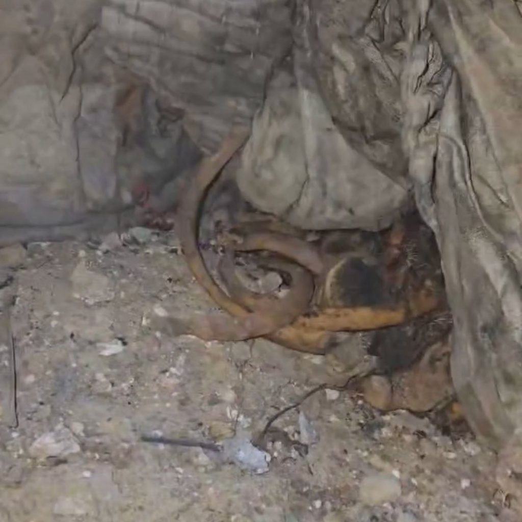 تقرير وصل الأسبوعي للعالم الإسلامي: أبرز أحداث الأسبوع الأول من جمادى الأولى 33 1000023988