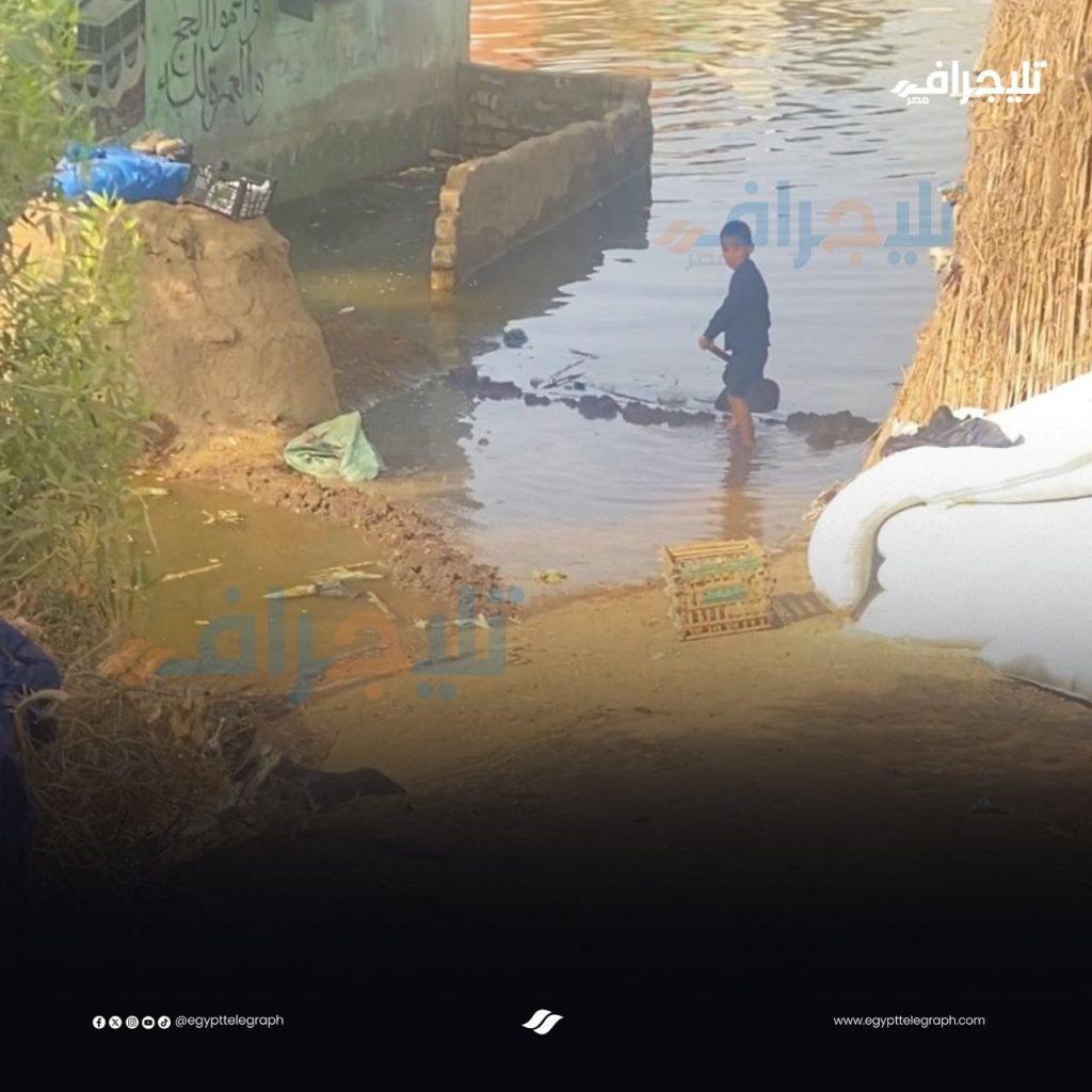 تقرير وصل الأسبوعي للعالم الإسلامي: أبرز أحداث الأسبوع الثاني من ربيع الثاني 27 photo 2025 10 03 23 47 07