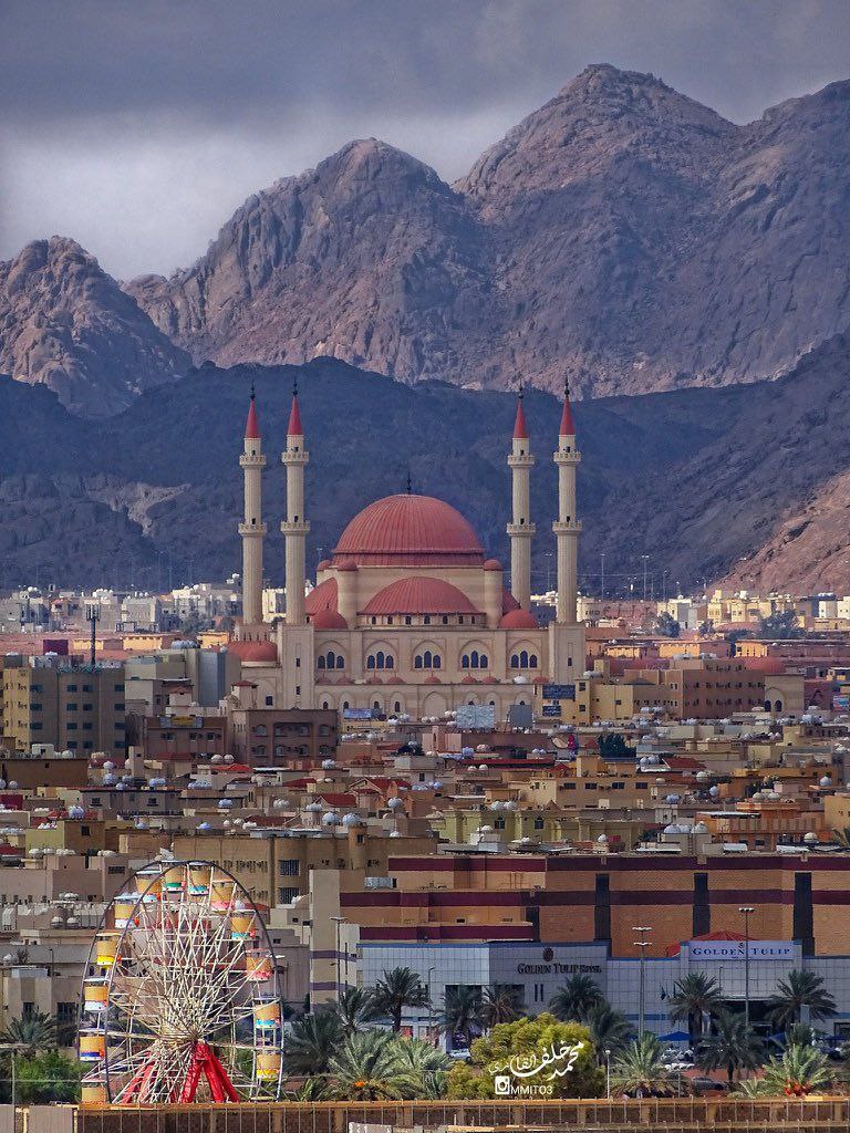 حصاد الأسبوع: أبرز الصور من العالم الإسلامي 40 photo 2025 10 24 22 33 37