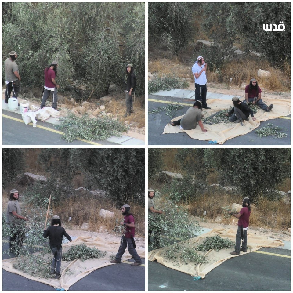 تقرير وصل الأسبوعي للعالم الإسلامي: أبرز أحداث الأسبوع الثالث من ربيع الثاني 9 photo ٢٠٢٥ ١٠ ٠٨ ٢٠ ٠٩ ٠٧