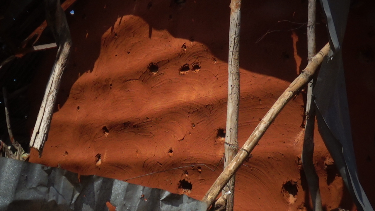 استشهاد 12 صوماليا أغلبهم أطفال ونساء في سلسلة غارات أمريكية جنوب الصومال 27 C0036T01