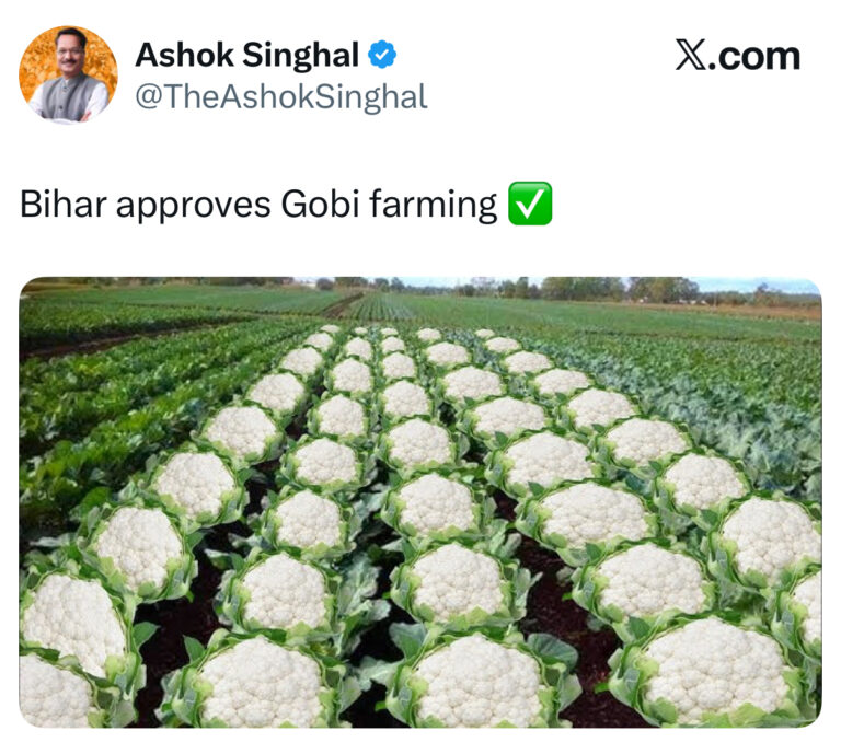 الهند: وزير حزب بهاراتيا جاناتا في ولاية آسام يثير غضبًا بعد استخدامه كلمة تشير لمذبحة تاريخية ضد المسلمين