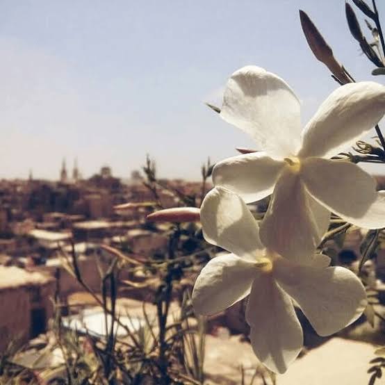 سورية؛ {فَصَبْرٌ جَمِيل} 2 سورية؛ {فَصَبْرٌ جَمِيل}