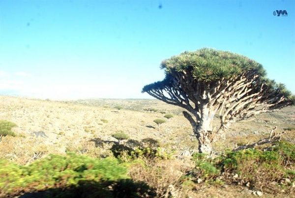 تقرير وصل الأسبوعي للعالم الإسلامي: أبرز أحداث الأسبوع الثاني من جمادى الأولى 19 photo 2025 11 07 21 08 33