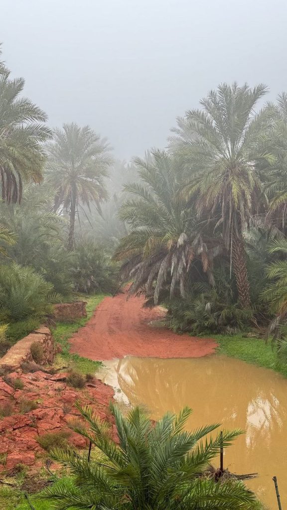 حصاد الأسبوع: أبرز الصور من العالم الإسلامي 25 photo 2025 11 07 23 04 46