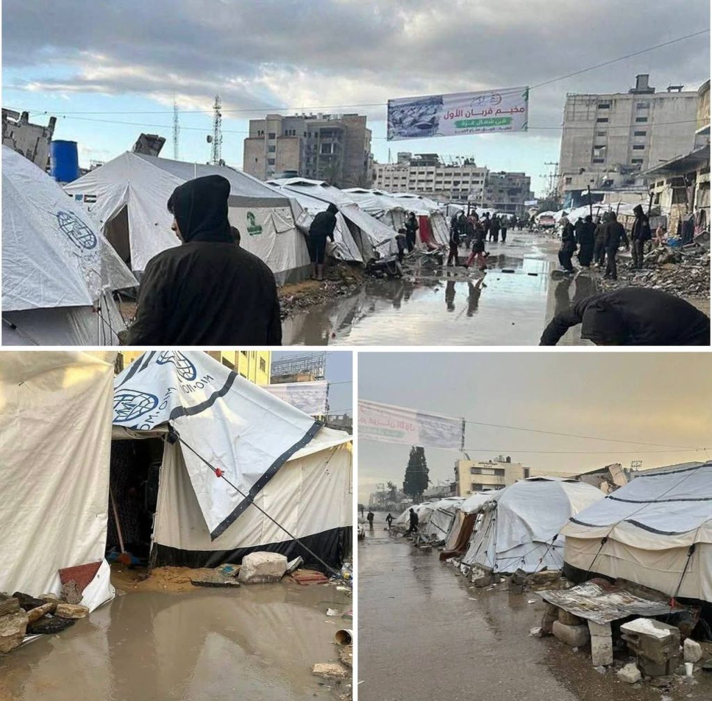 حصاد الأسبوع: أبرز الصور من العالم الإسلامي 10 photo 2025 11 15 12 22 27