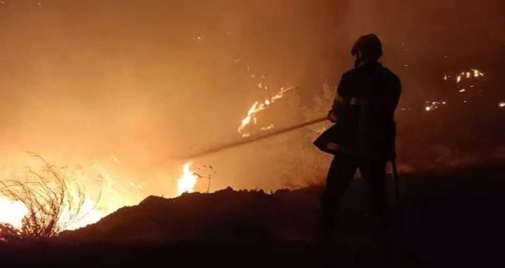 تقرير وصل الأسبوعي للعالم الإسلامي: أبرز أحداث الأسبوع الثالث من جمادى الأولى 31 photo 2025 11 15 12 26 40