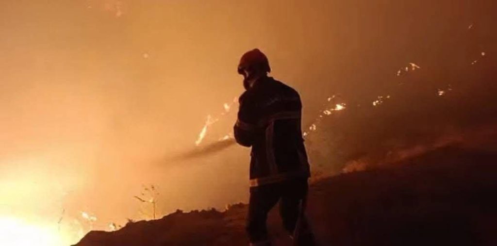 تقرير وصل الأسبوعي للعالم الإسلامي: أبرز أحداث الأسبوع الثالث من جمادى الأولى 29 photo 2025 11 15 12 26 47