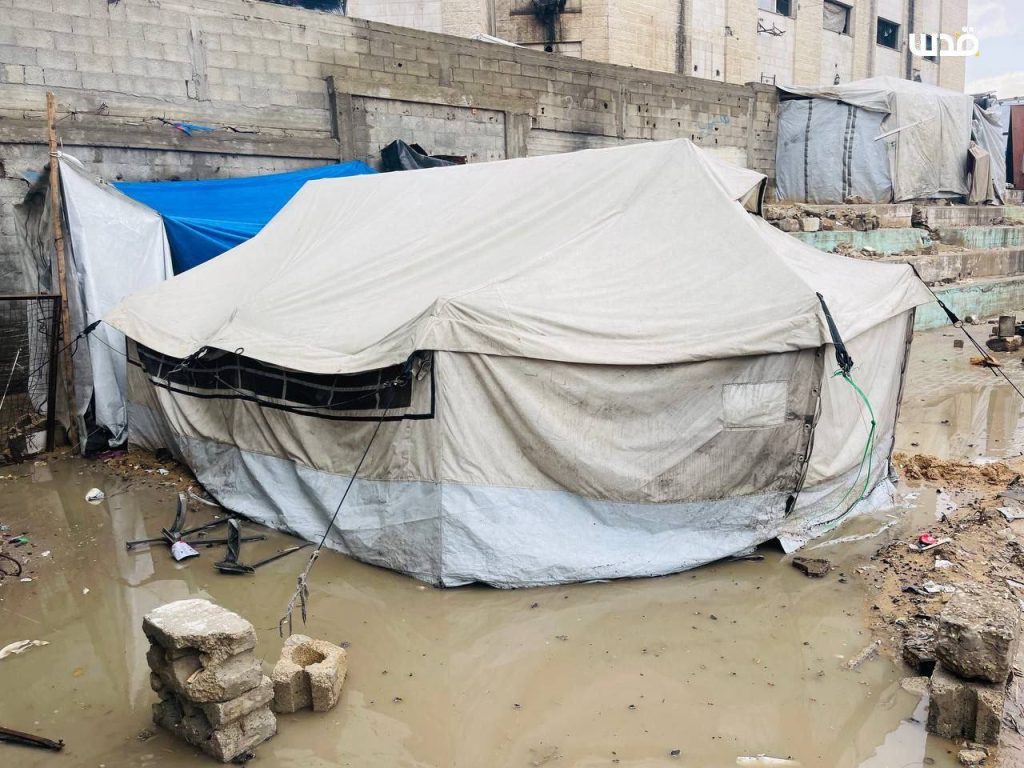 حصاد الأسبوع: أبرز الصور من العالم الإسلامي 9 photo 2025 11 15 12 51 26