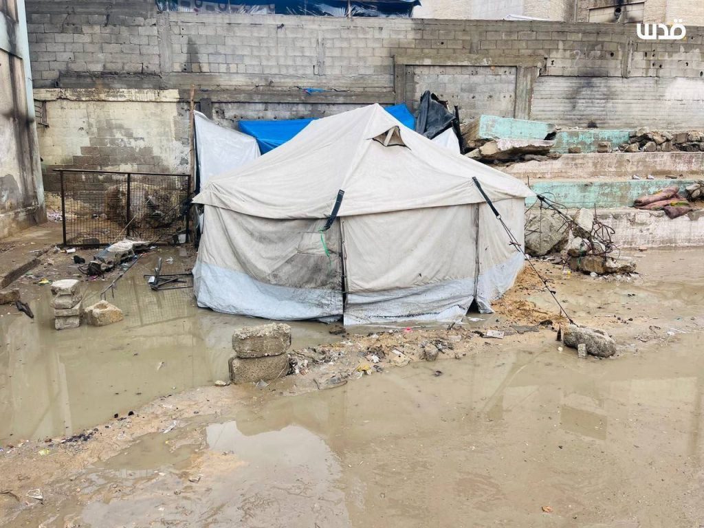 حصاد الأسبوع: أبرز الصور من العالم الإسلامي 8 photo 2025 11 15 12 51 29