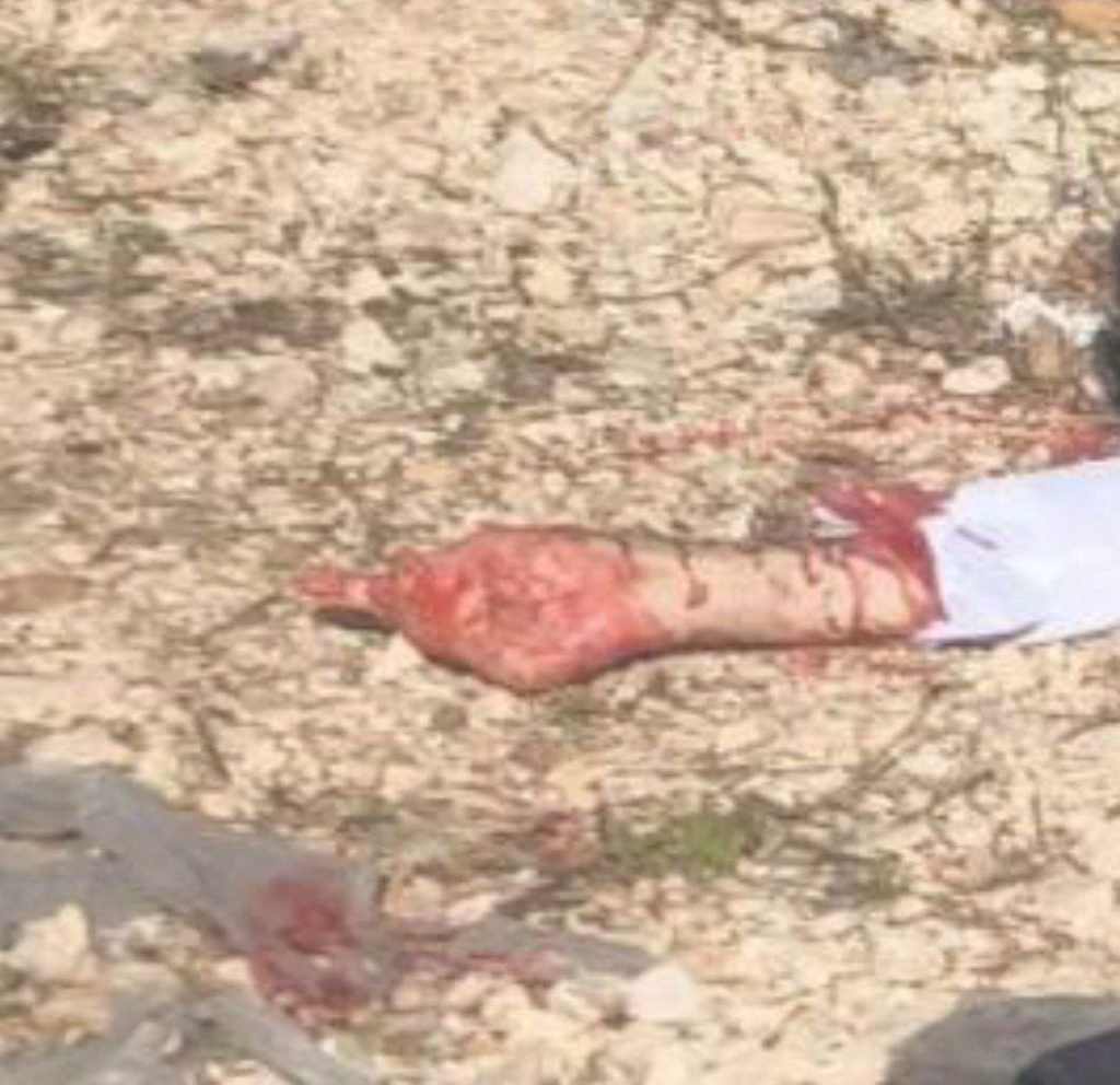 تقرير وصل الأسبوعي للعالم الإسلامي: أبرز أحداث الأسبوع الأخير من جمادى الأولى 15 photo 2025 11 21 20 49 29