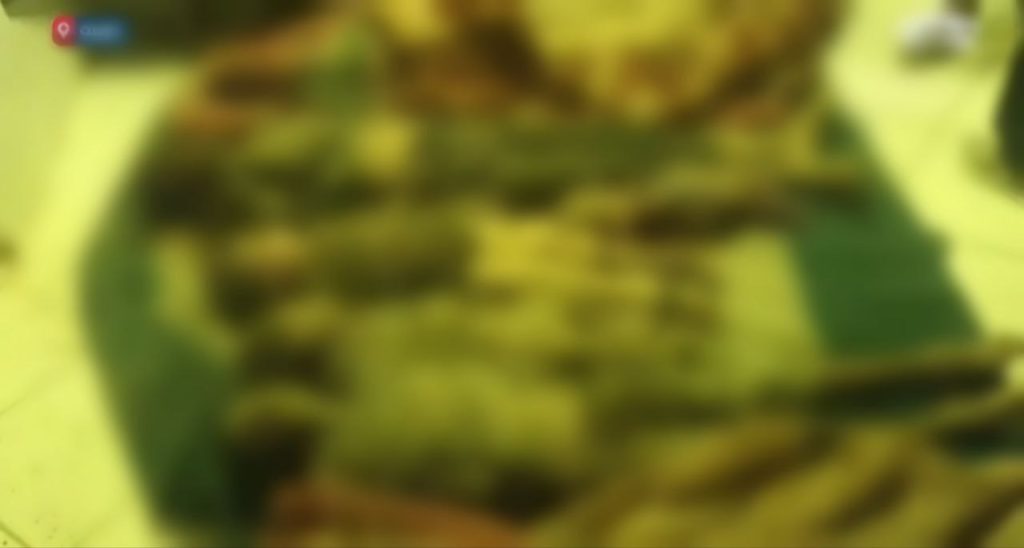 photo 2025 11 29 10 38 48